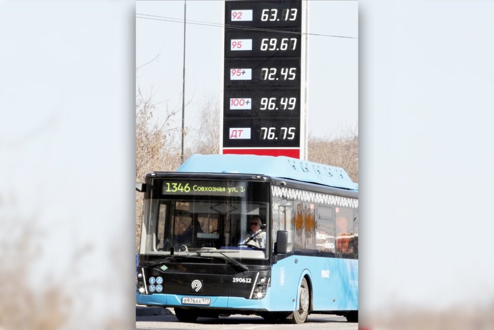 Wholesale Fuel Prices in Russia Rise Slower than in the USA, But Faster than in China. What are the Reasons for the Price Increase?